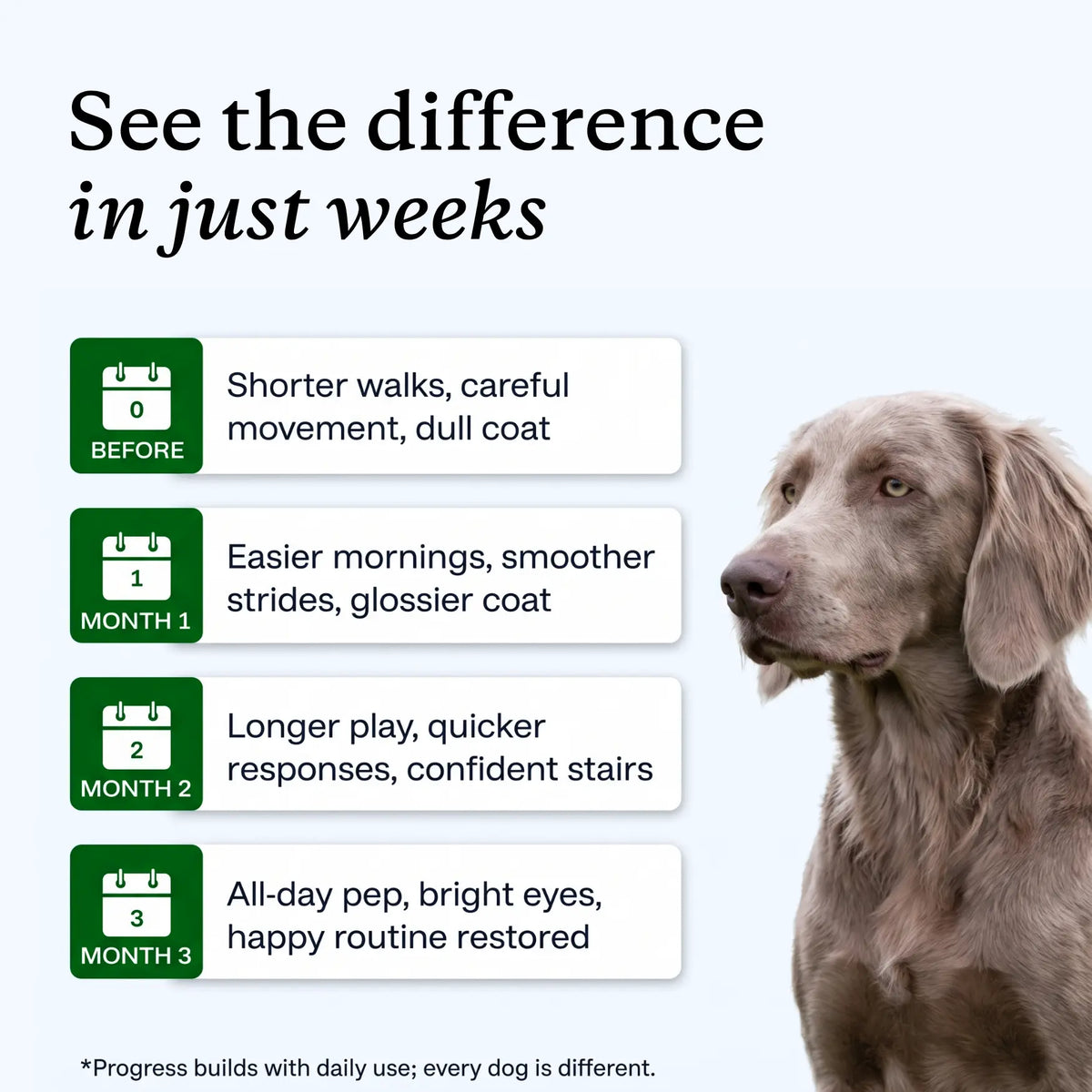 Daily Weight Management Drops for your Dog™